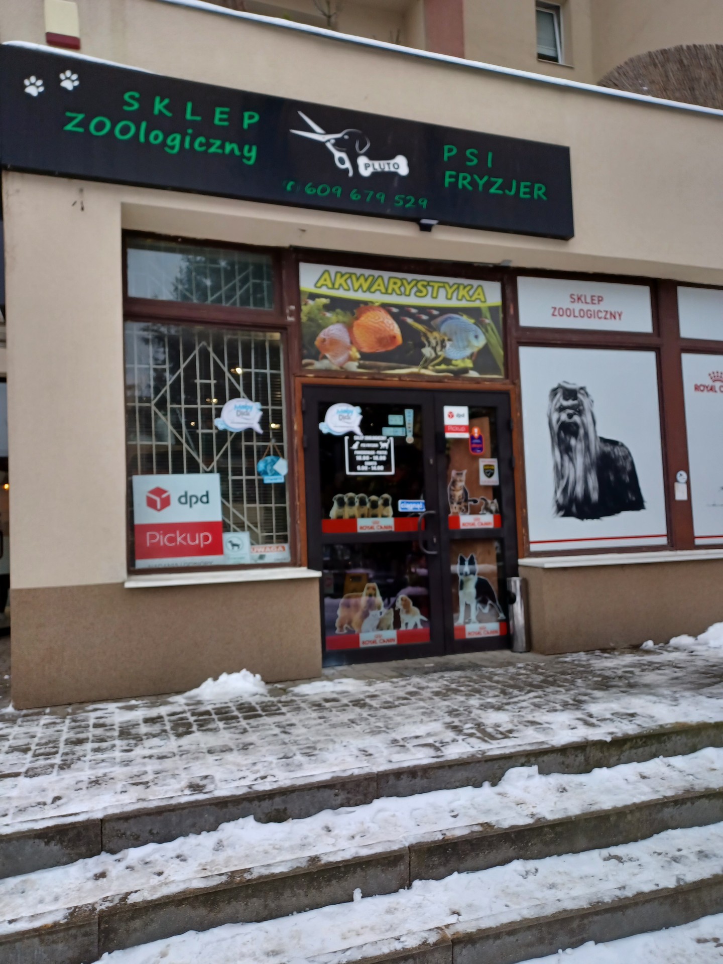 Zdjęcie