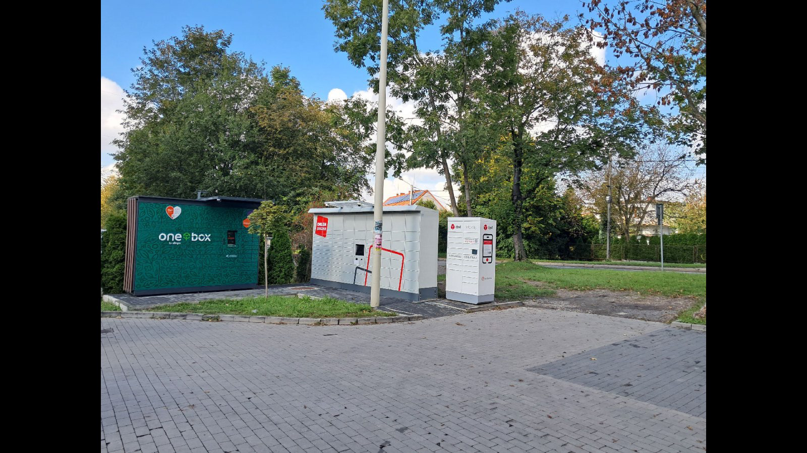 Zdjęcie