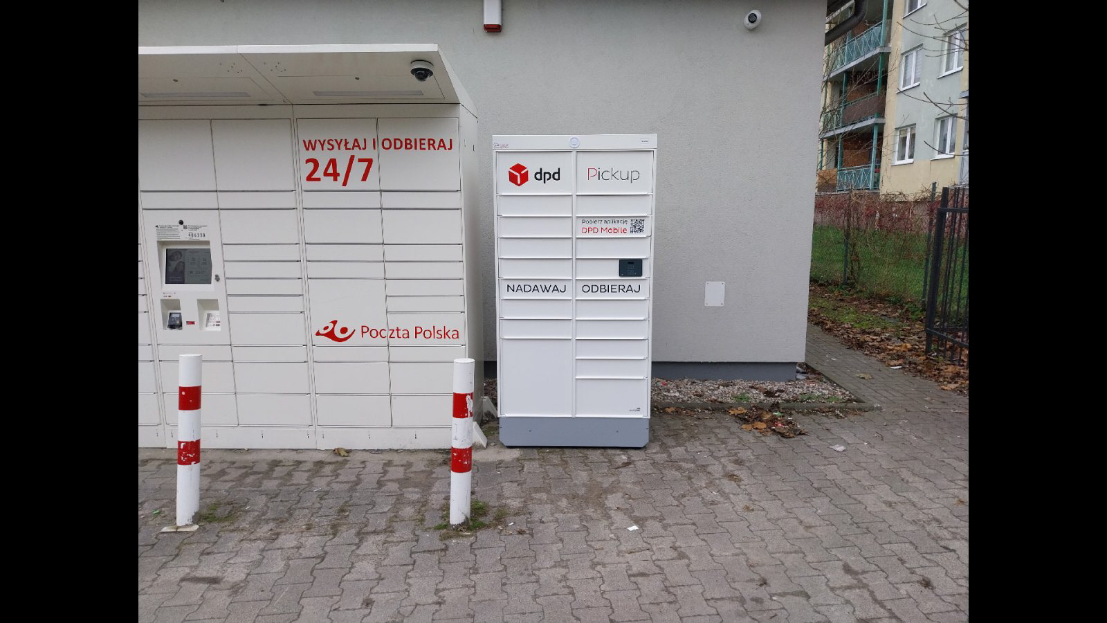 Zdjęcie