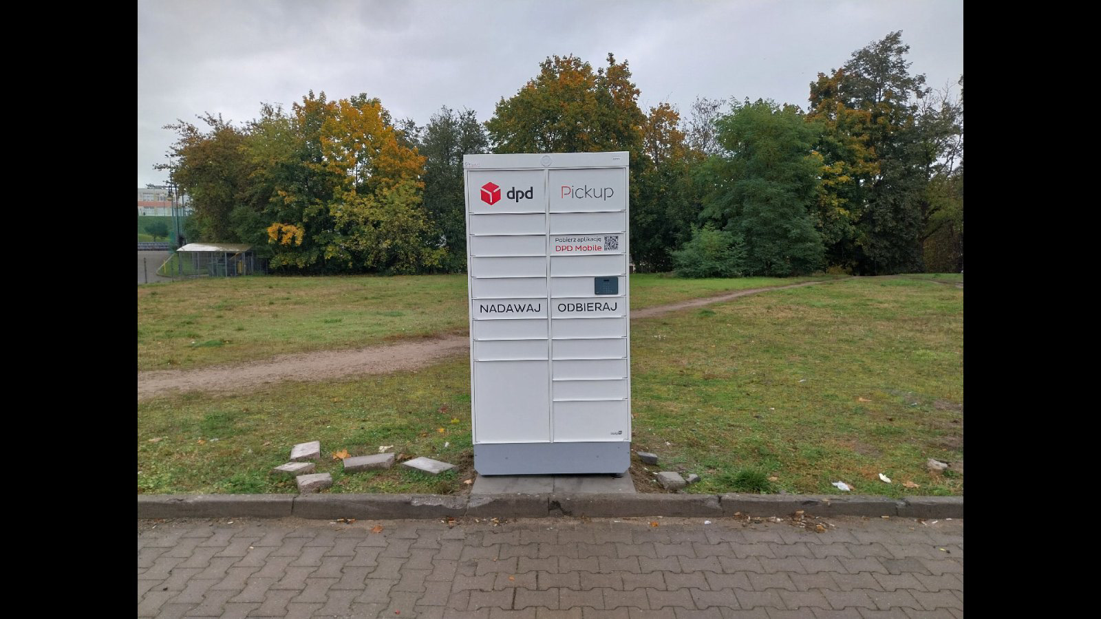 Zdjęcie