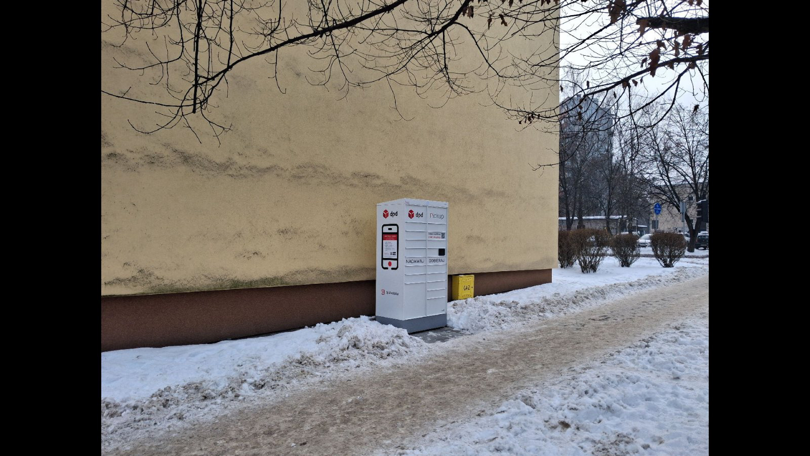 Zdjęcie